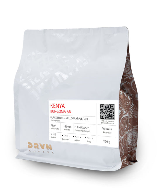 KENYA BUNGOMA AB